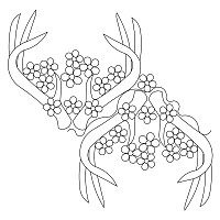 floral antlers pano 001